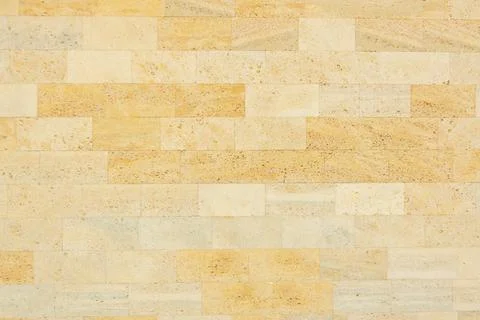 Shell limestone wall texture background. Stock Photos