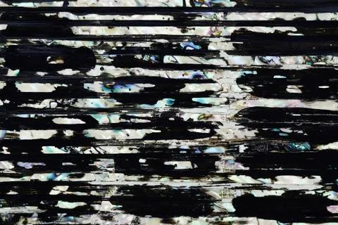 Shell line in black lacquer paint Stock Photos