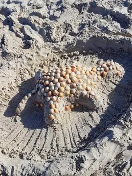 A shell made of sand Stock Photos