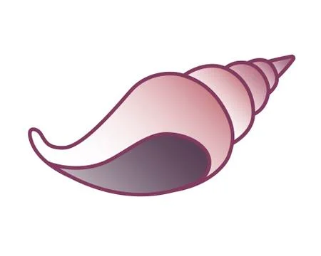 Shell. Marine, spiral, conical shell of a marine mollusk. Ocean clam, snail Stock Illustration