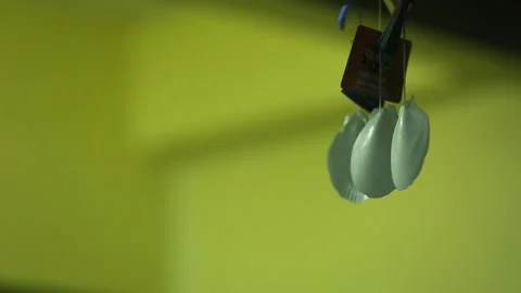 Shell mobile. Stock Footage 147321291