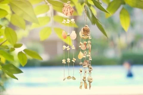 Shell mobile on pool spa and natural background Фото