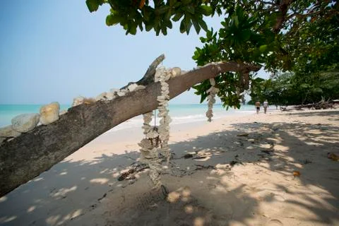 Shell mobile on tree Khao lak Foto stock