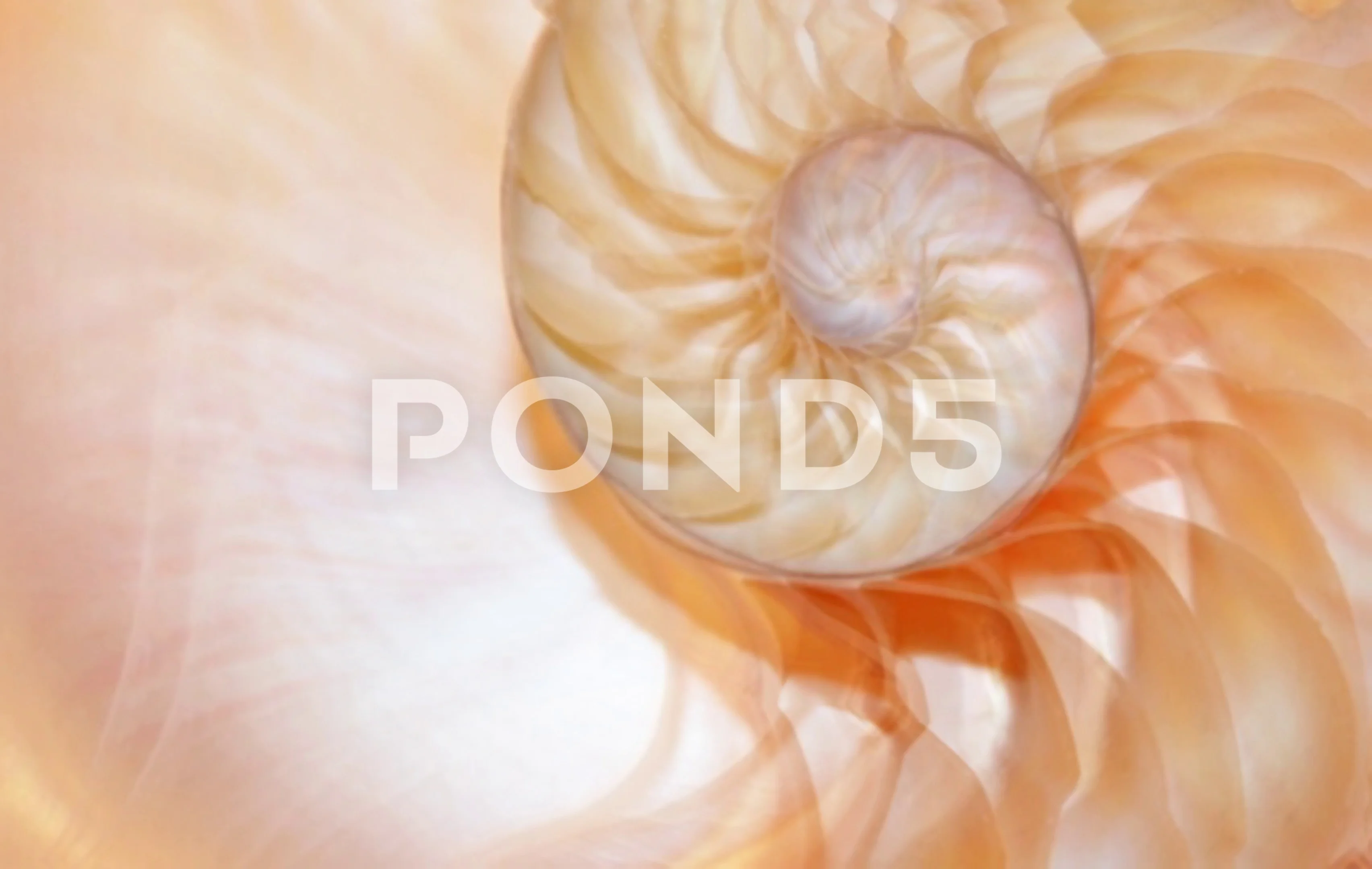 fibonacci sequence shell