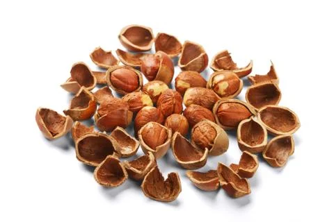 Shell of nuts and nuts Stock Photos