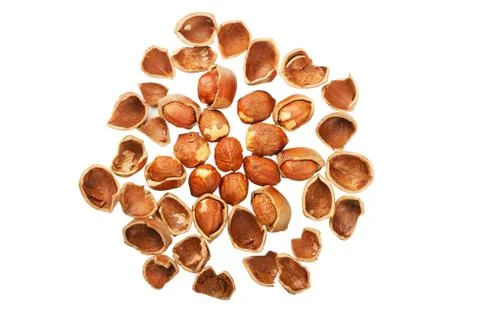 Shell of nuts and nuts Stock Photos