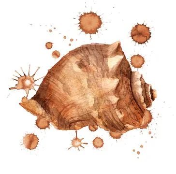 Shell with paint blots Stock Illustration
