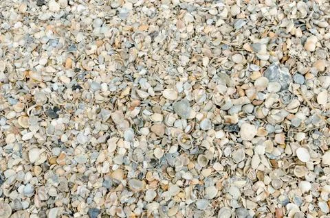 Shell path Stock Photos