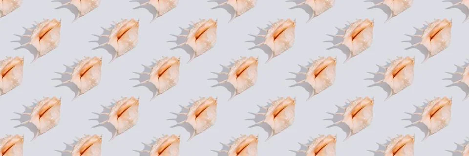 Shell pattern with hard shadow Stock Photos