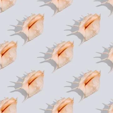 Shell pattern with hard shadow Stock Photos