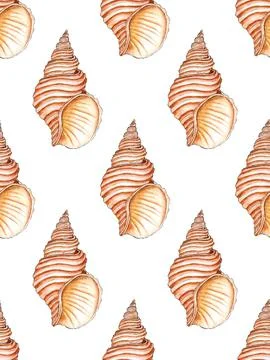 Shell pattern Stock Illustration