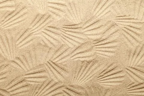 Shell Patterns On Sandy Beach Stock Photos
