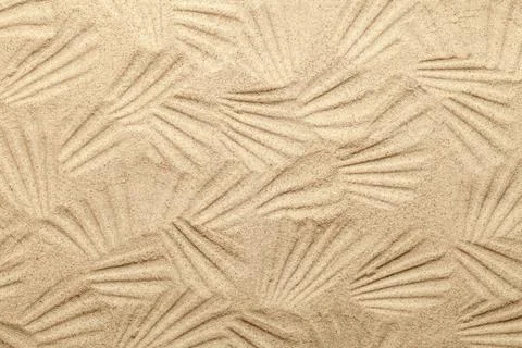 Shell Patterns On Sandy Beach Shell patterns on sandy beach background Cop... Foto stock
