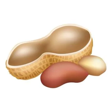 Shell peanut icon, cartoon style Illustrazione stock