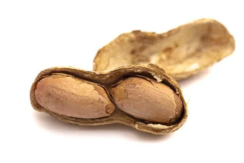 In Shell Peanut Isolated on a White Background Stock Photos
