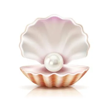 Shell Pearl Realistic Isolated Image Stock Illustration