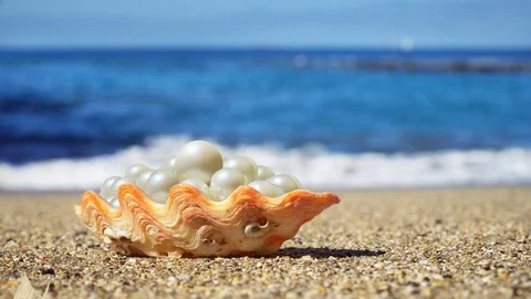 Shell with a pearls on the ocean beach. Stock Footage 117404941