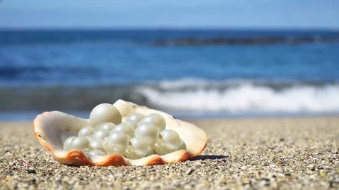 Shell with a pearls on the ocean beach. Stock Footage 117404974