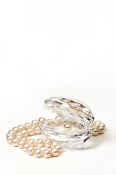 Shell with pearls Stock Photos