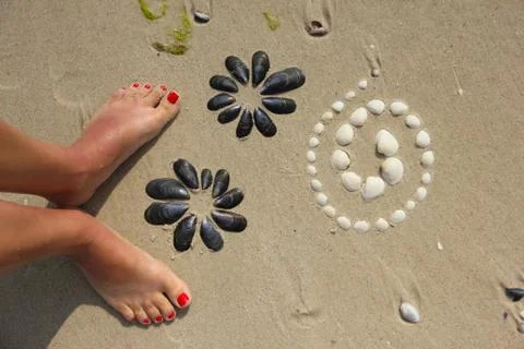 Shell picture Foto stock