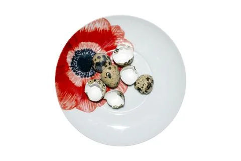 The shell of quail eggs.Empty quail eggs.An empty eggshell. Stock Photos