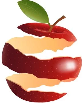 Shell of red apple with leaf and stalk Stock Illustration