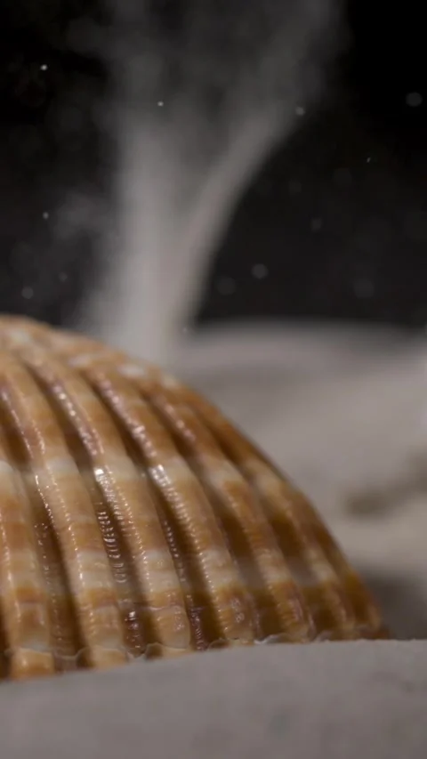  Shell Releasing Sand Plume In Super Slow Motion Stock Footage 335109093