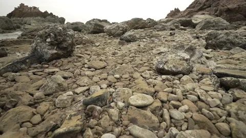 Shell rock and reef rock ground on seashore Stock Footage 235583627