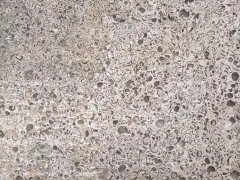 Shell rock limestone texture Stock Photos