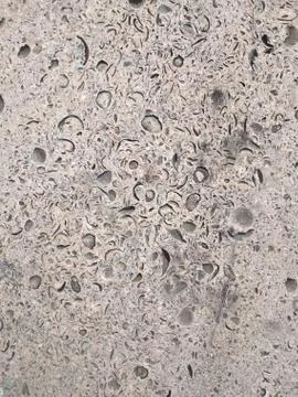 Shell rock limestone texture Stock Photos