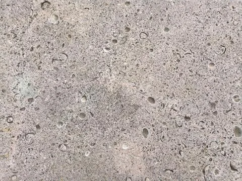 Shell rock limestone texture Stock Photos