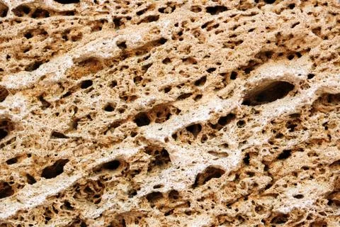 A Shell rock pattern, brick, background, close up Stock Photos