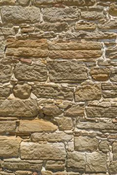 Shell rock Stone wall texture or background Foto stock