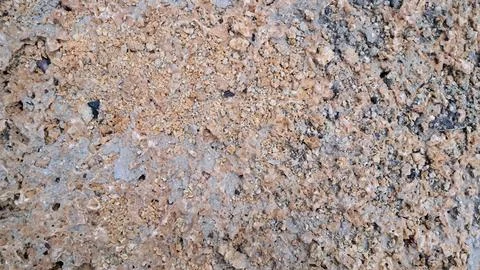 Shell rock texture (rakushnyak) close-up Foto stock