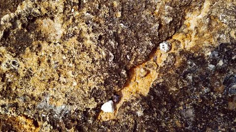 Shell rock texture. The stone is red. The rock has a granular structure Stock Photos