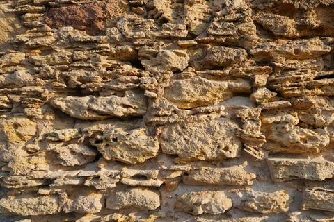 Shell rock wall. Photos