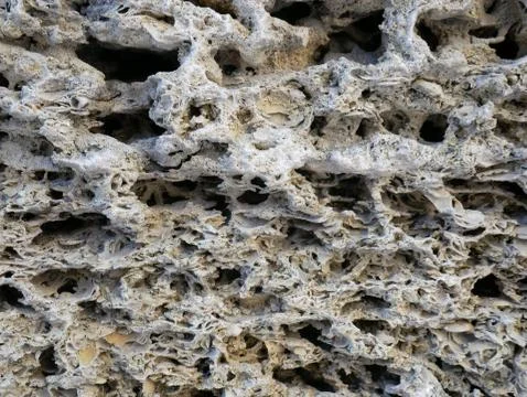 Shell rock wall texture. Coquina stone background. Stock Photos