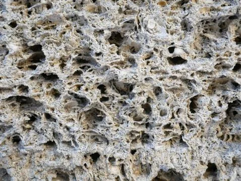 Shell rock wall texture. Coquina stone background. Stock Photos