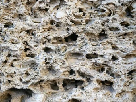 Shell rock wall texture. Coquina stone background. Stock Photos