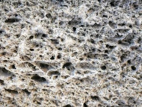 Shell rock wall texture. Coquina stone background. Stock Photos