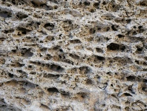Shell rock wall texture. Coquina stone background. Stock Photos