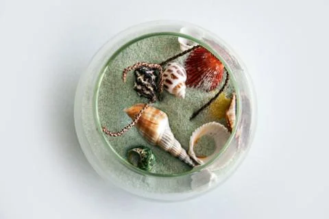 Shell sand decoration Stock Photos