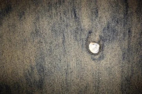 Shell on Sand Foto stock