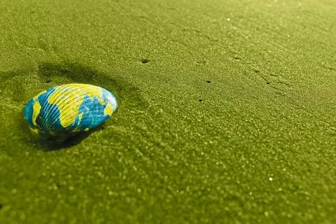 Shell in sand shell in sand Copyright: xZoonar.com/yogeshxmorex 5581522  Stock Photos