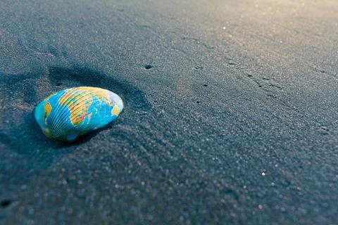 Shell in sand shell in sand Copyright: xZoonar.com/yogeshxmorex 5595389  库存照片