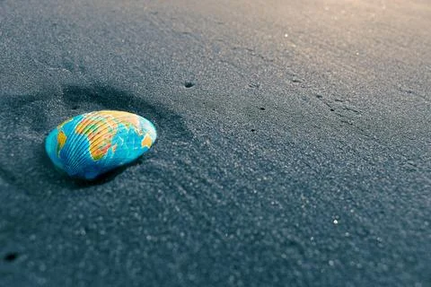Shell in sand shell in sand Copyright: xZoonar.com/yogeshxmorex 8532757  Stock Photos