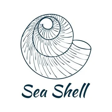Shell, sea shell, ocean nature water underwater vector. Hand drawn nautical.. イラスト素材