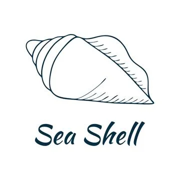 Shell, sea shell, ocean nature water underwater vector. Hand drawn nautical.. Illustrazione stock