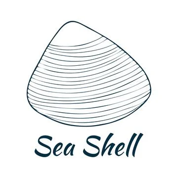 Shell, sea shell, ocean nature water underwater vector. Hand drawn nautical.. Illustrazione stock