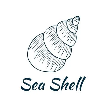 Shell, sea shell, ocean nature water underwater vector. Hand drawn nautical.. Stock Illustration